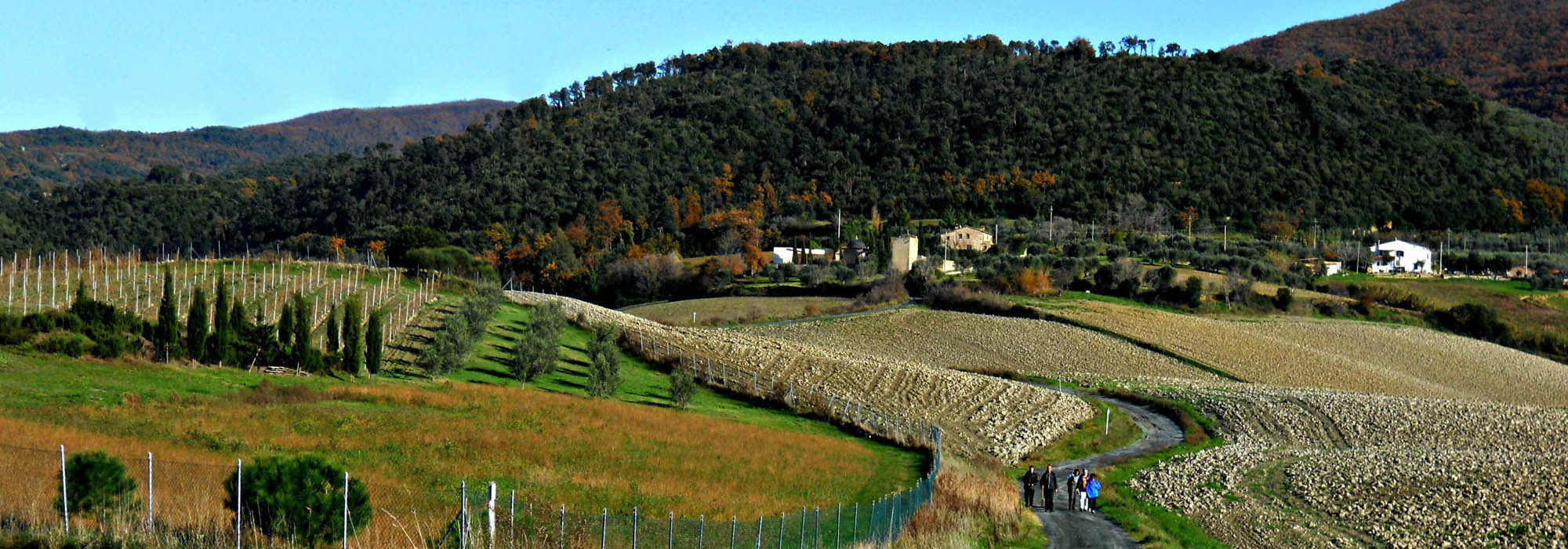 Agriturismo Santa Luce, Pisa, Toscana