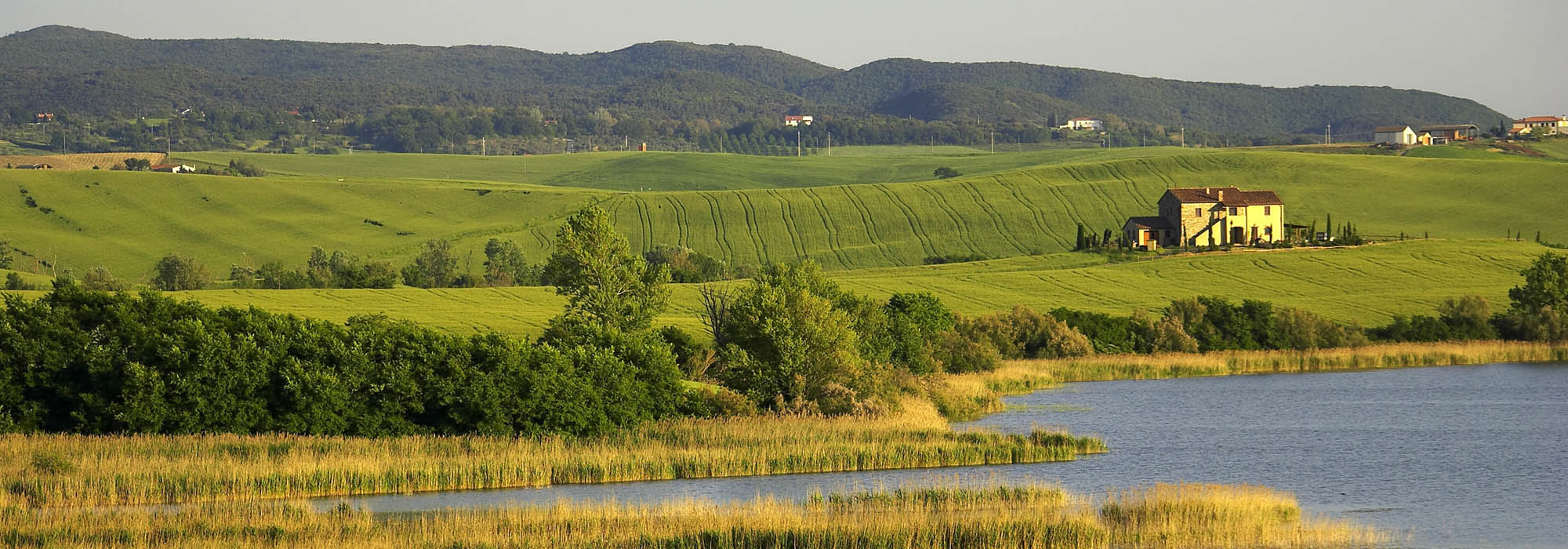 Agriturismo Santa Luce, Pisa, Toscana